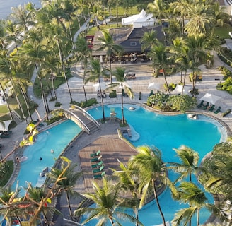 An aerial view captures a luxurious resort area featuring a large swimming pool surrounded by palm trees. The pool has a unique shape with a central island connected by small bridges. Sun loungers with umbrellas line the poolside. To the left, a lawn overlooks a body of water, with a lighthouse structure visible. The entire setting exudes a tropical and serene atmosphere.