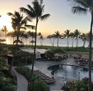 A coastal resort scene featuring a luxurious swimming pool surrounded by lounge chairs and palm trees. Guests relax by the poolside under shaded umbrellas. The ocean is visible in the background, reflecting the golden hues of a setting sun. Buildings and lush greenery frame the scene, enhancing the tropical atmosphere.
